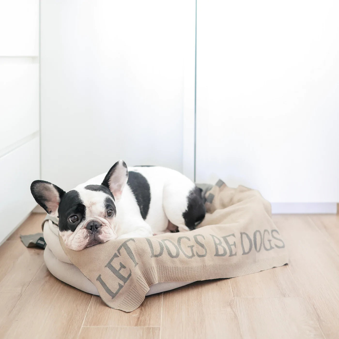Couverture « Laissez les chiens être des chiens »
