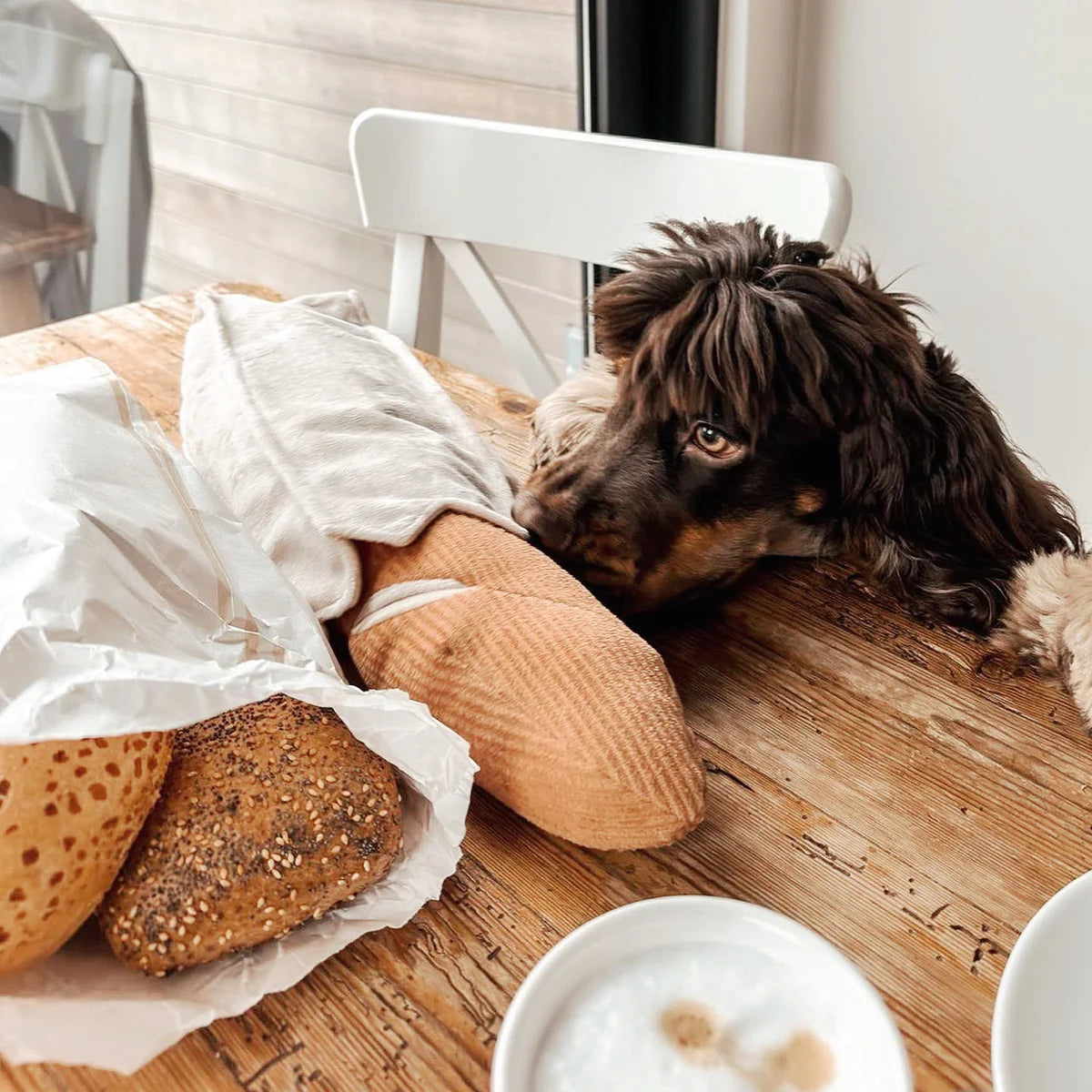 BAGUETTE - enrichment pockets + squeaky