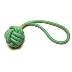 Rope Toy