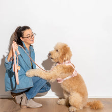 Classic Waterproof Leash