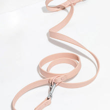 Classic Waterproof Leash