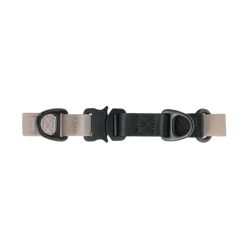 AVA MARTINGALE - quick-release metal buckle collar