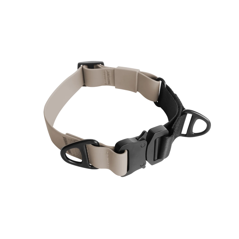 AVA MARTINGALE - quick-release metal buckle collar