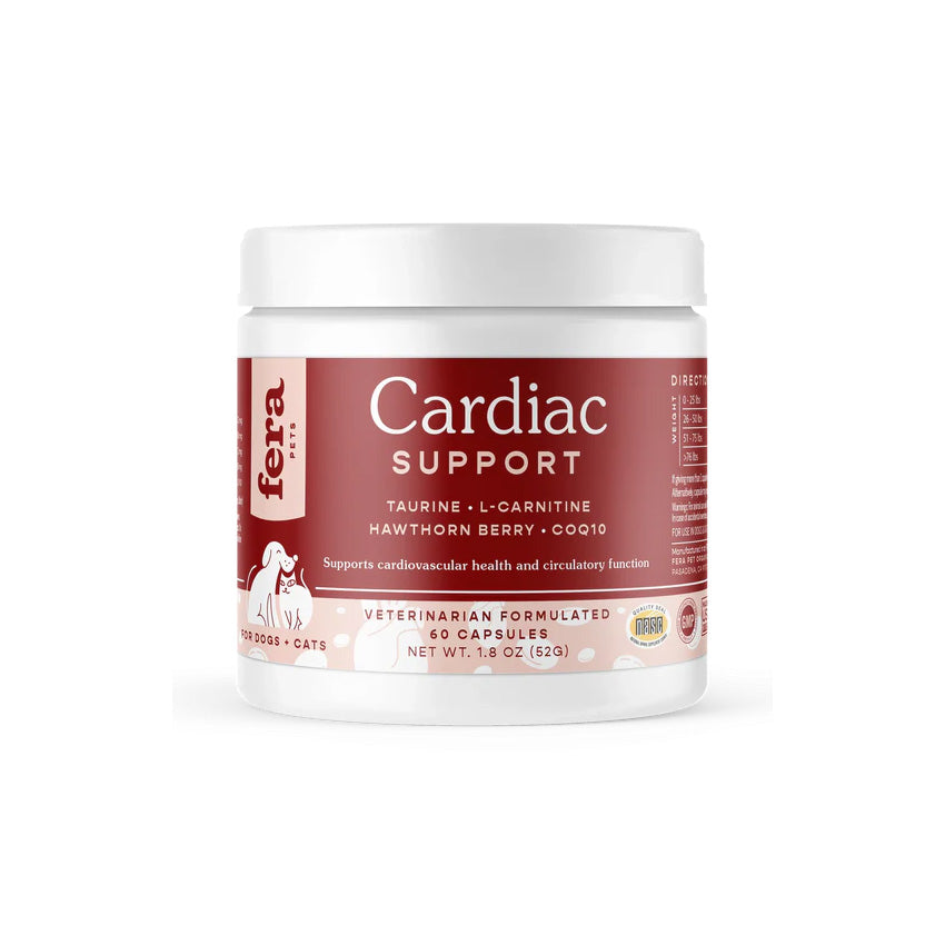 Cardiac Support for Dogs and Cats