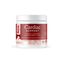 Cardiac Support for Dogs and Cats