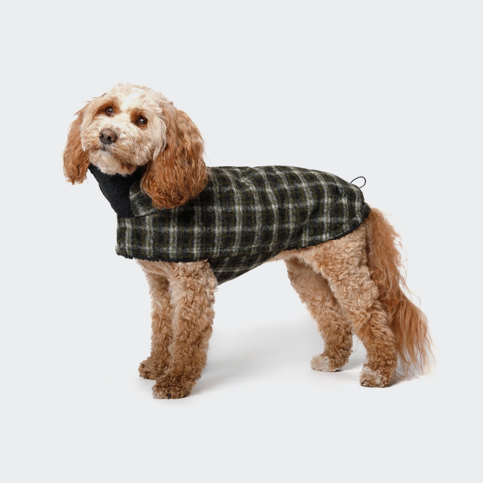 Hundemantel Brooklyn Plaid Green