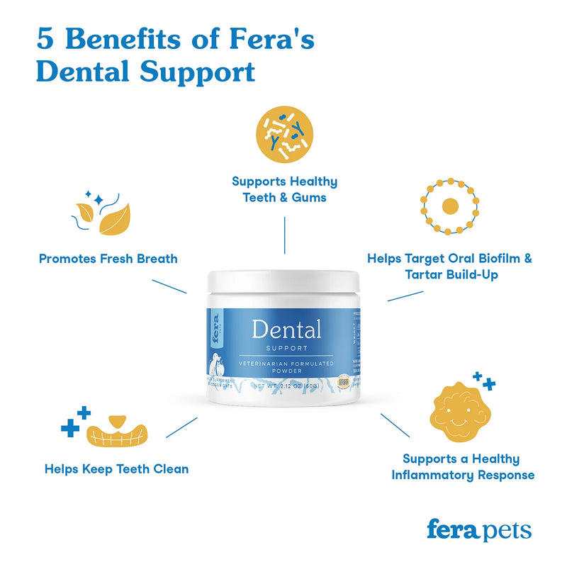 Dental Support for Dogs and Cats