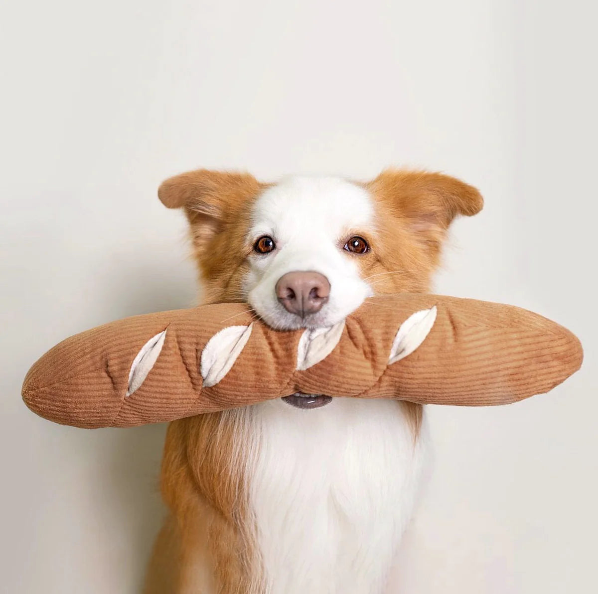 BAGUETTE - enrichment pockets + squeaky