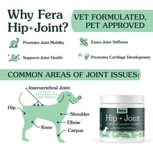 Hip + Joint Support for Dogs