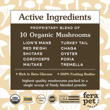 USDA Organic Mushroom Blend for Immune Support For Dogs and Cats