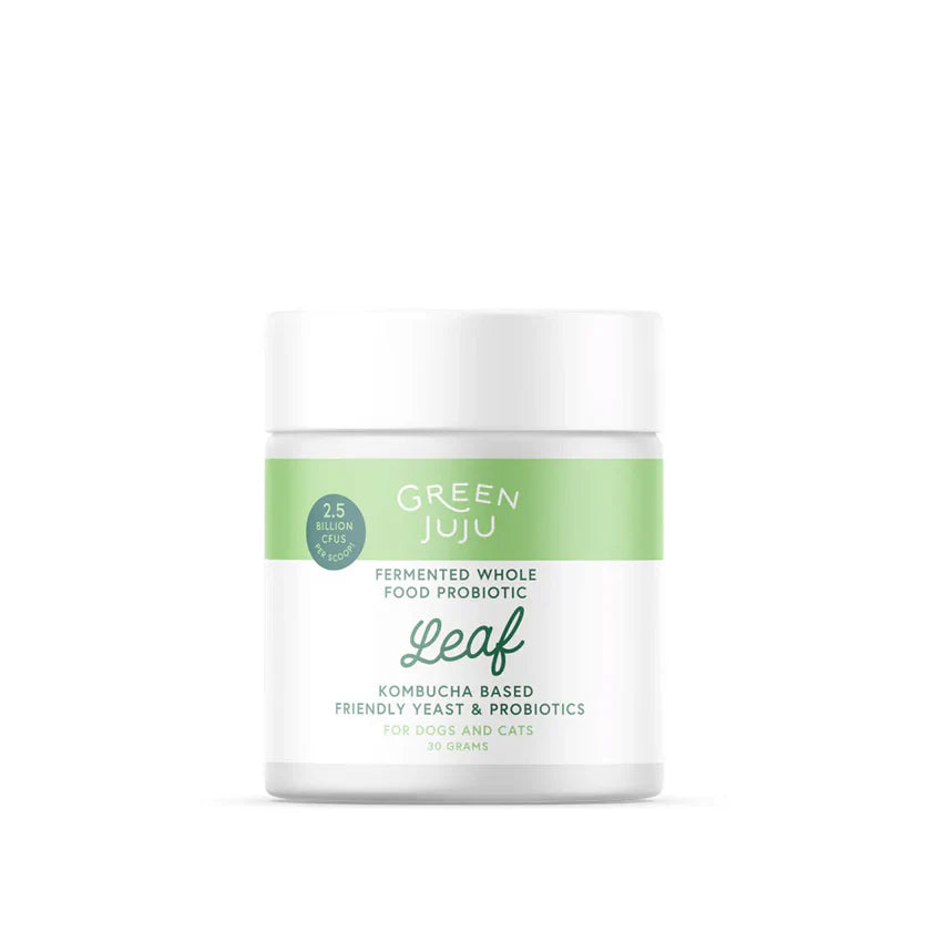 Leaf - Fermented, Kombucha-Based Probiotic