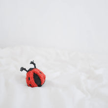 LADYBUG POP - squeaky + bouncy