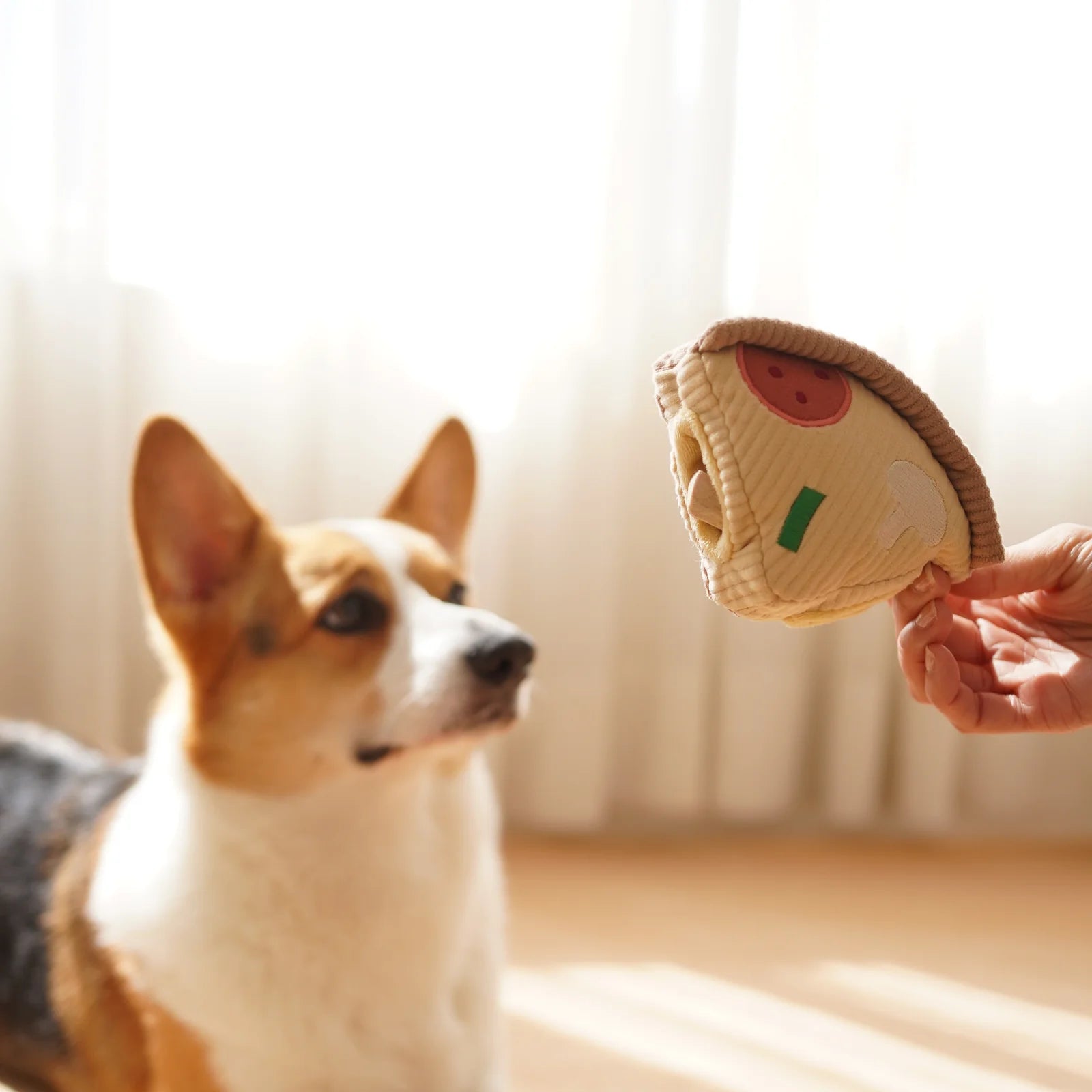 DEEP DISH PIZZA - snuffle + burrow