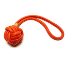 Rope Toy