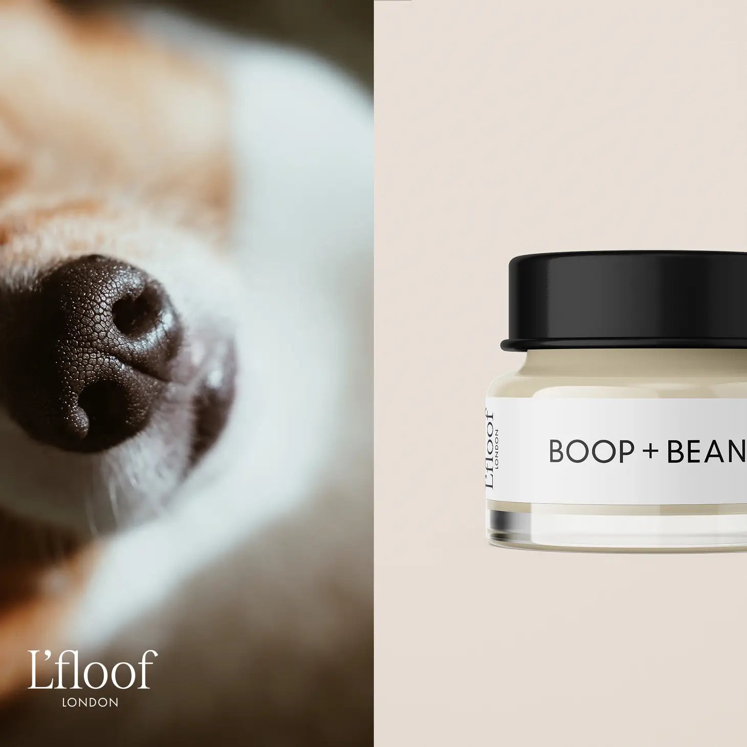 BOOP + BEANS by L'floof London