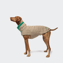 Dog Coat Brooklyn Waxed Cotton