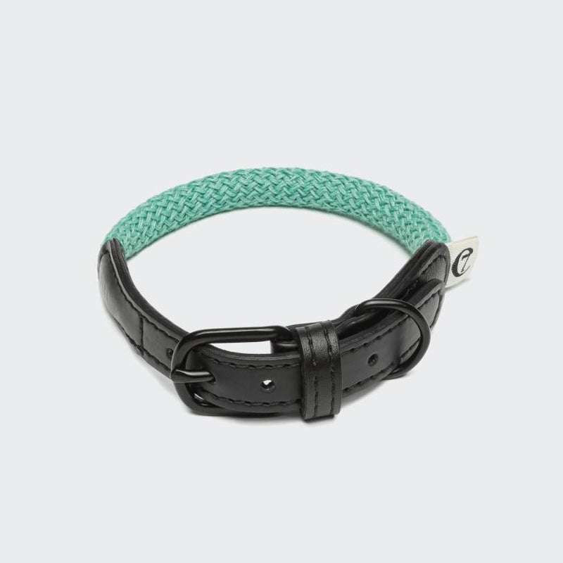 Dog Collar Mauerpark