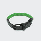 Dog Collar Mauerpark