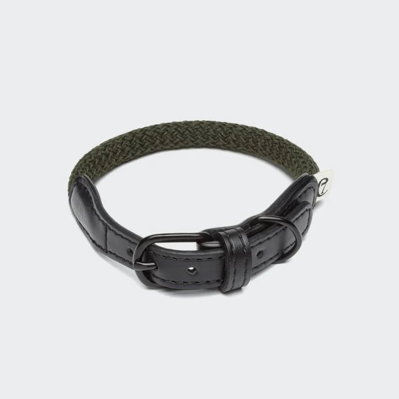 Dog Collar Mauerpark