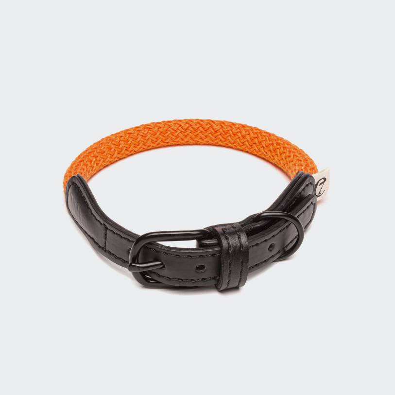 Dog Collar Mauerpark