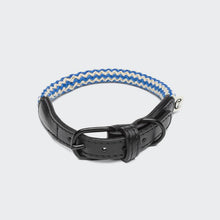 Dog Collar Mauerpark