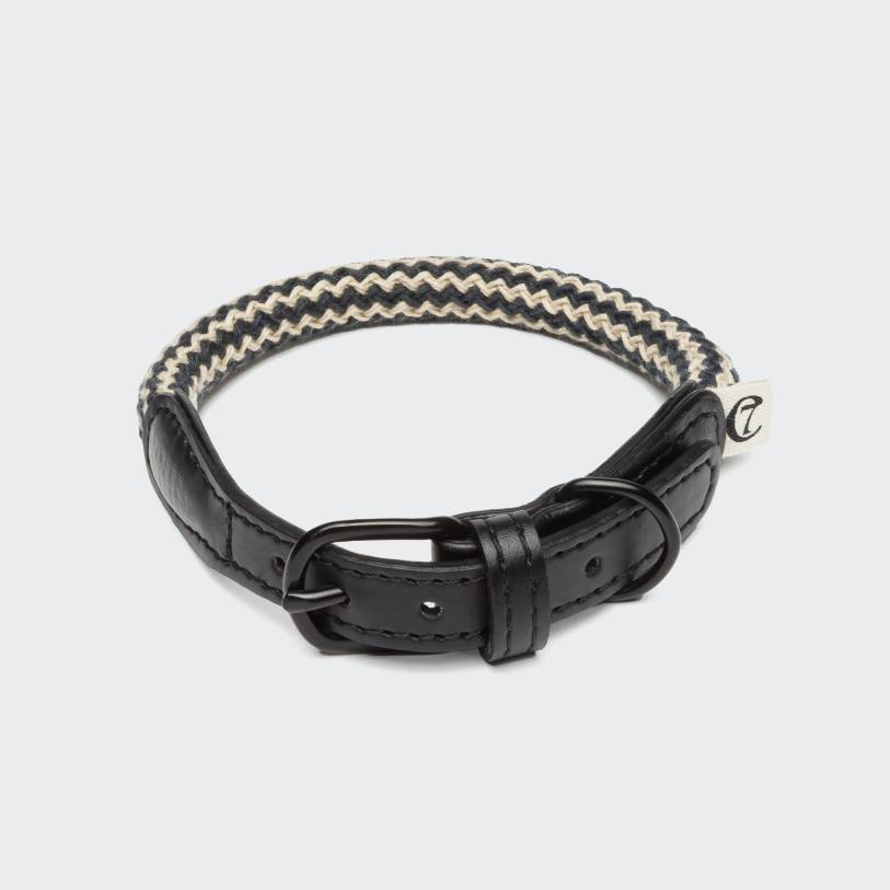 Dog Collar Mauerpark