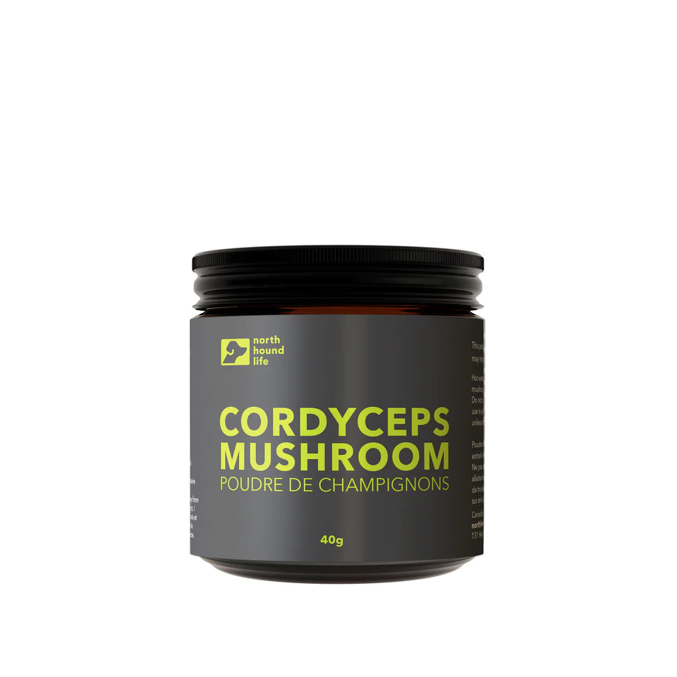 Cordyceps Mushroom