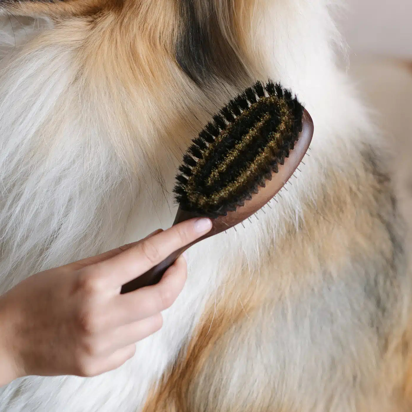 Double-Sided Brush