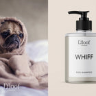 WHIFF By L'floof London