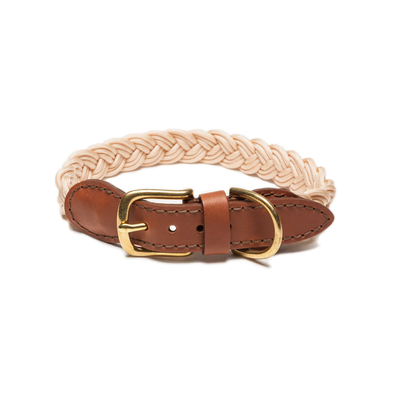 Braided Collar - Champagne