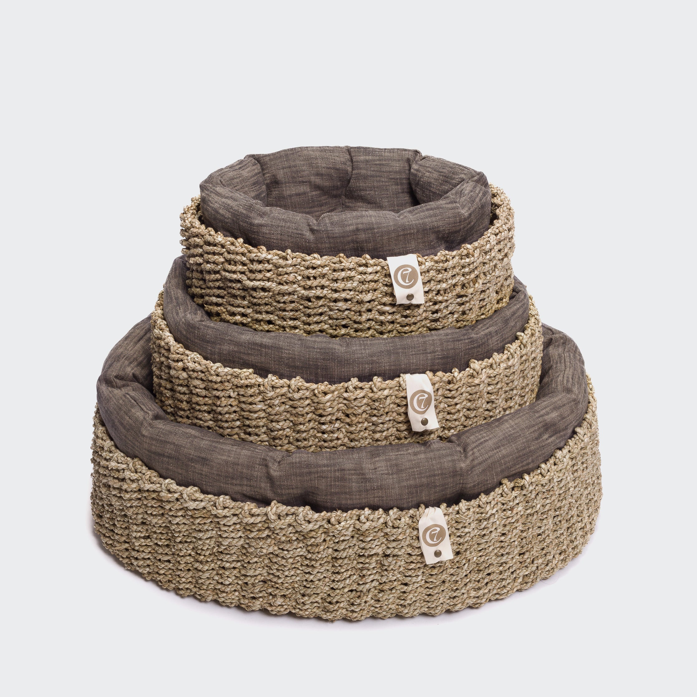 Dog Basket Lazy