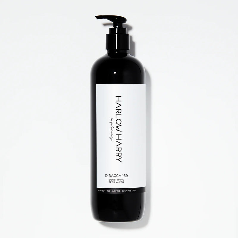 Conditioning Shampoo | D'bacca 169