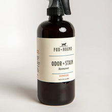 Odor + Stain Remover - Ginger