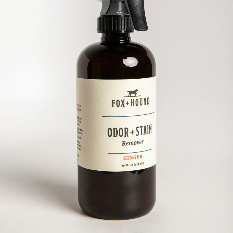 Odor + Stain Remover - Ginger