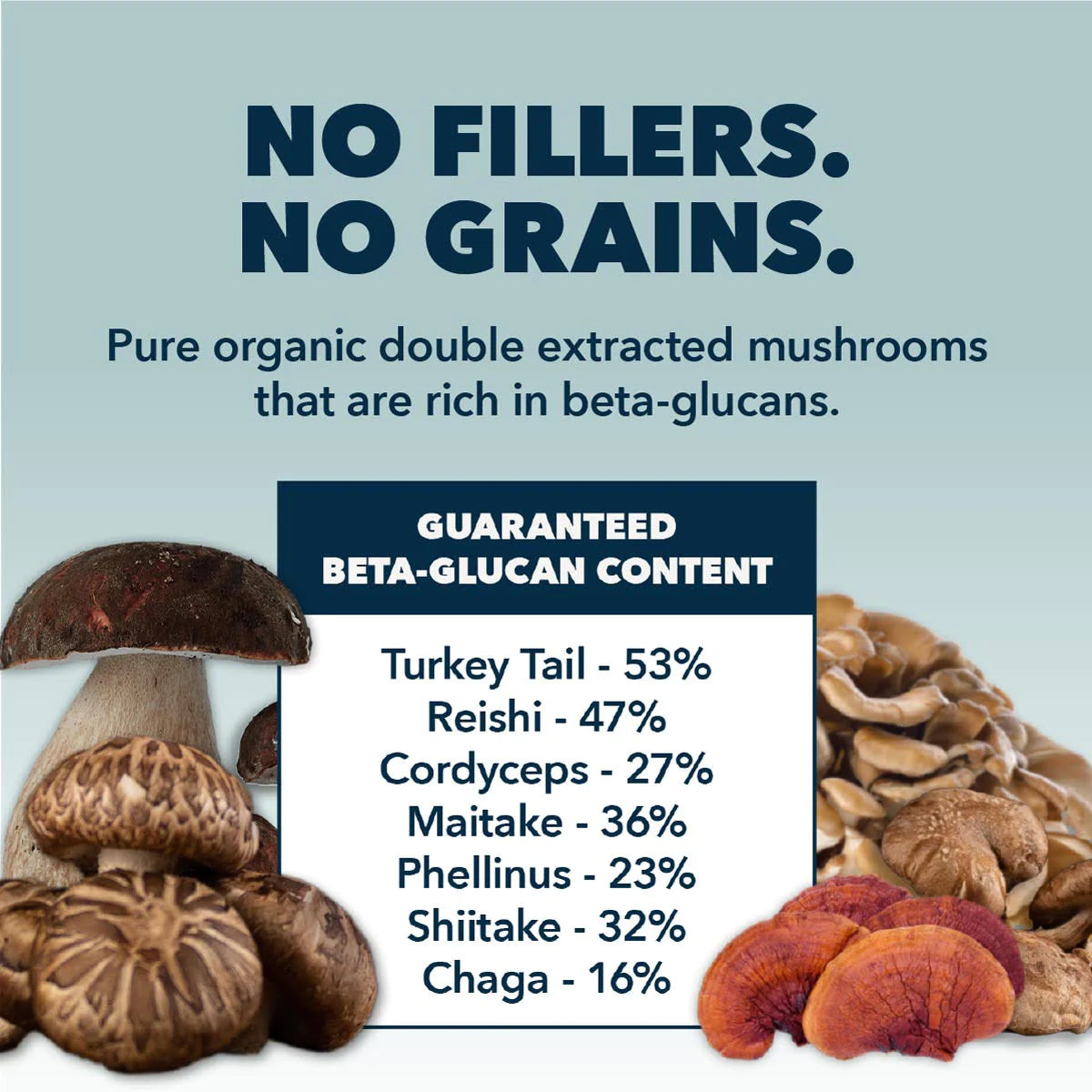 Seven 'Shrooms - Organic Mushroom Mix