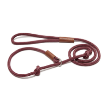 Training Leash