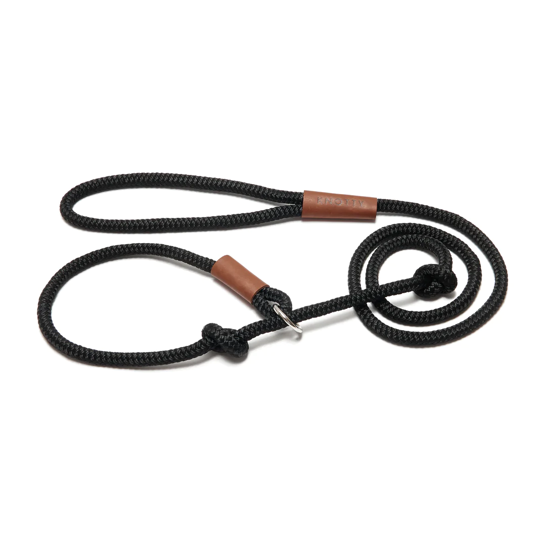 Training Leash