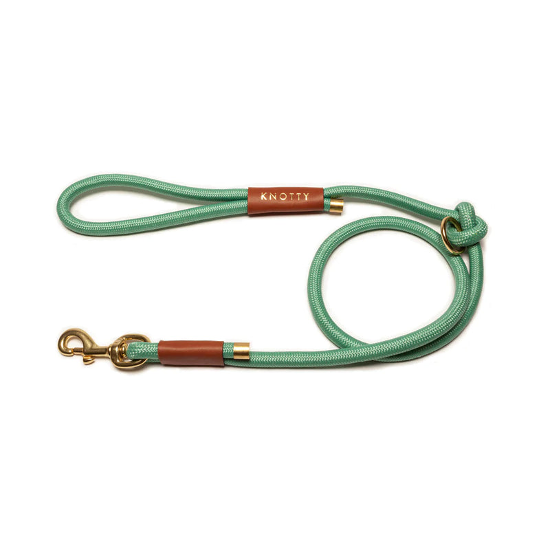 Rope Leash - Mint