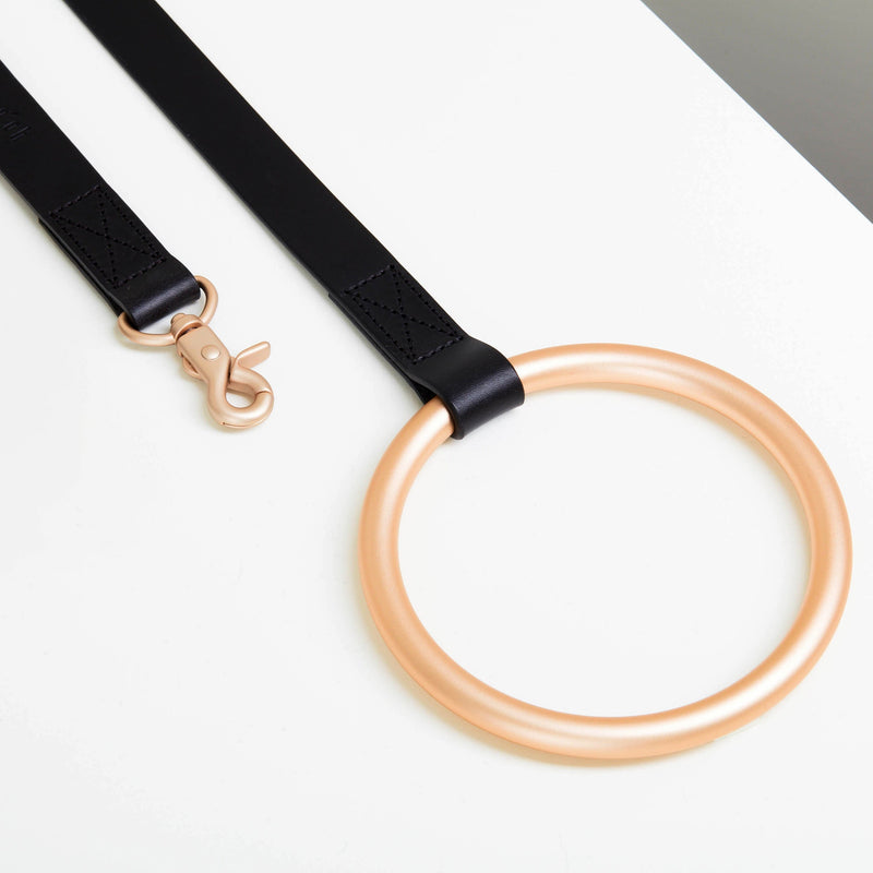 Lumi Leash