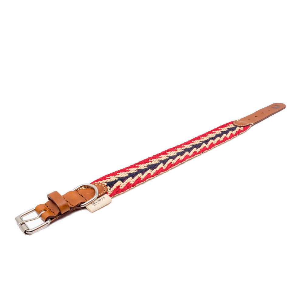 Peruvian Arrow Red Collar