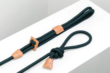 Ray Harness