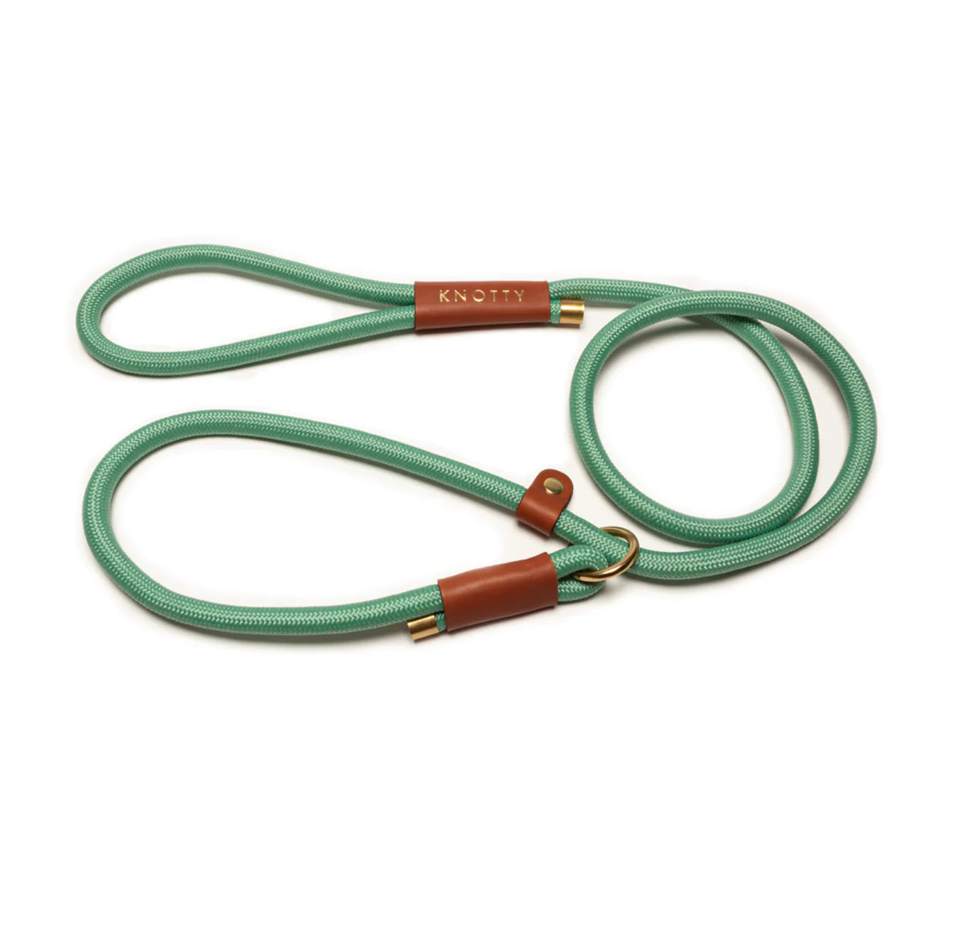 Training Leash