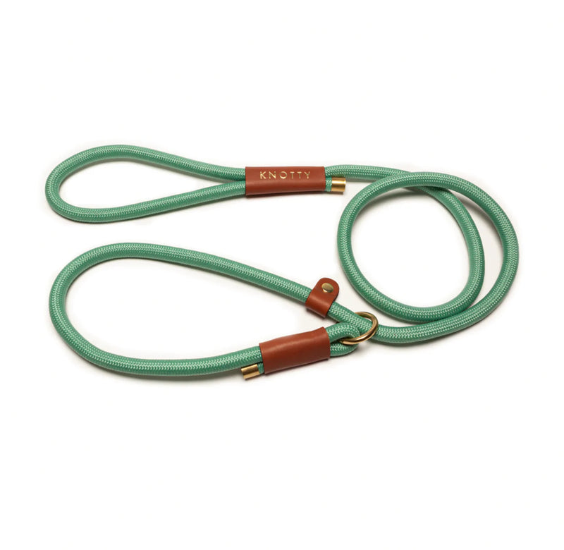 Training Leash