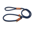 Training Leash