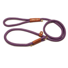 Training Leash