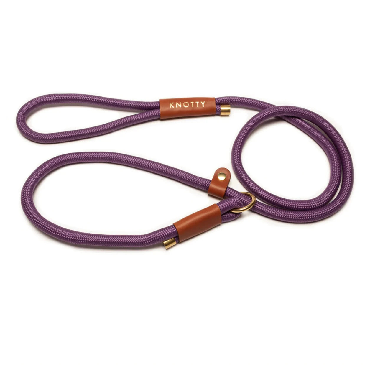 Training Leash