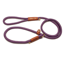Training Leash