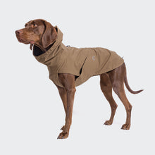 Dog Raincoat Dublin Sienna