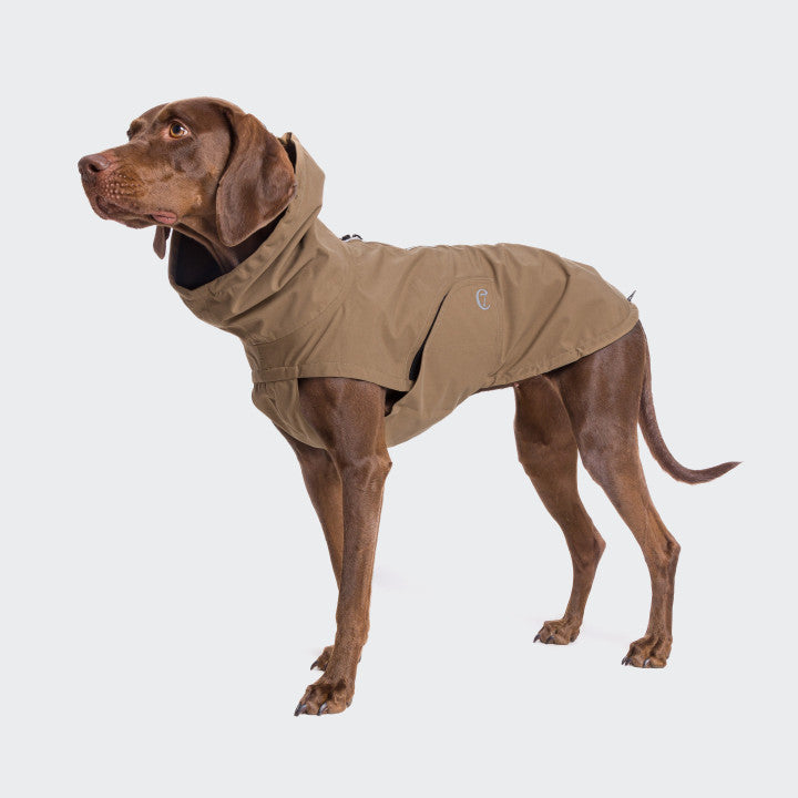 Dog Raincoat Dublin Sienna