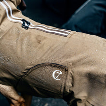 Dog Raincoat Dublin Sienna